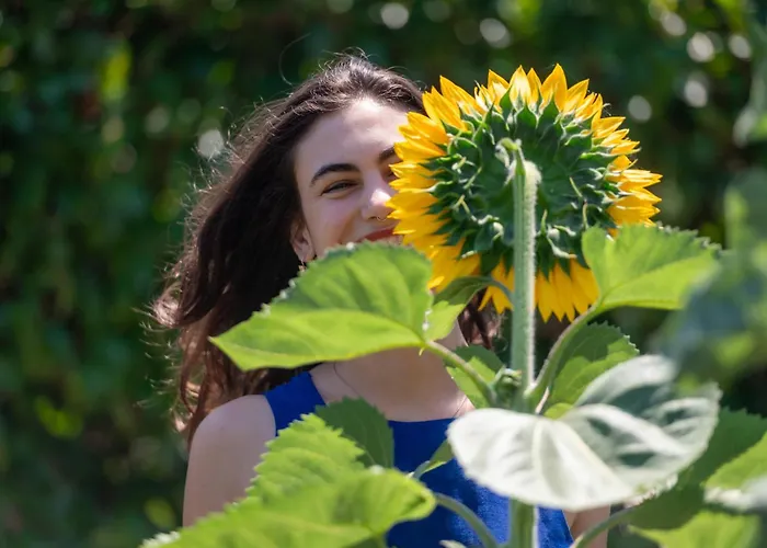 Phillyrea Luxury Cos