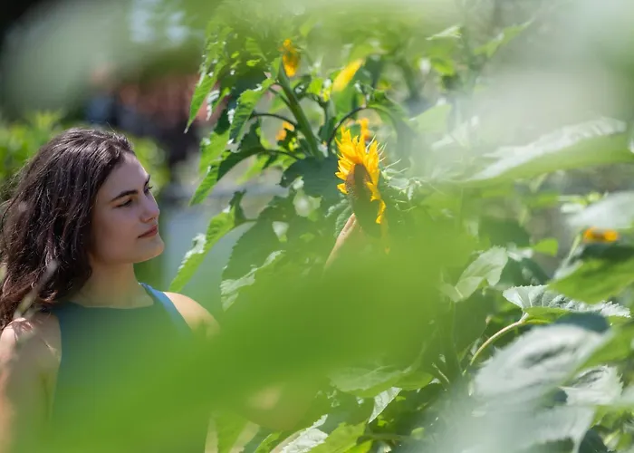 Villa Phillyrea Luxury Cos