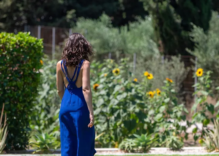 Villa Phillyrea Luxury *